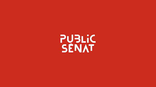 Public Sénat banner