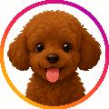 아기강아지 원두 avatar