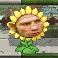 PvZ Дичь  avatar