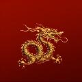 QNhaNheIR avatar