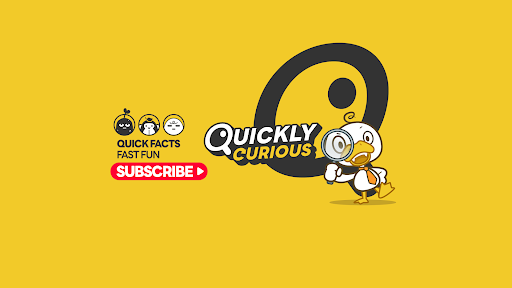 Quickly Curious banner