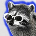 RaccoonEggs avatar