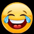 Funny Cat avatar