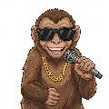 RasimDon avatar