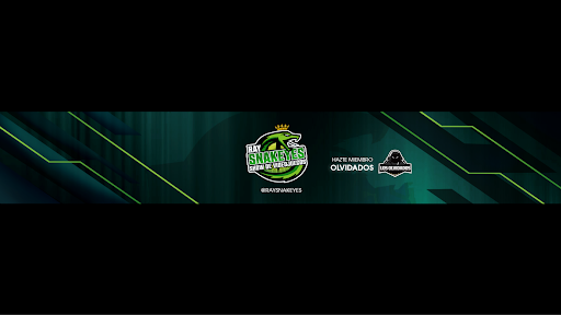 Ray Snakeyes banner