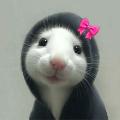  Mibby avatar