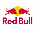 Red Bull Brasil 🇧🇷 avatar