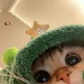 Riza ┃ريزا avatar