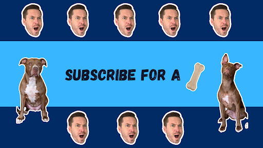 Robby and Penny banner