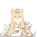 Pet anecdotes  avatar