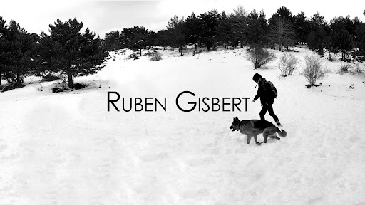 Rubén Gisbert banner