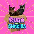 Ruda Shakira avatar