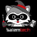 Salem Techsperts avatar