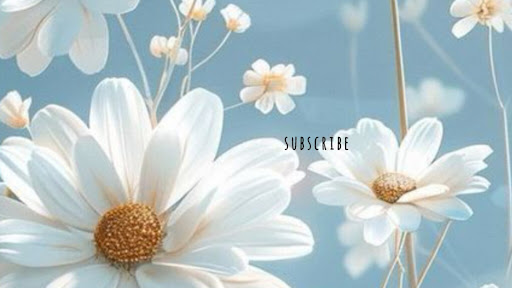Samriizz banner