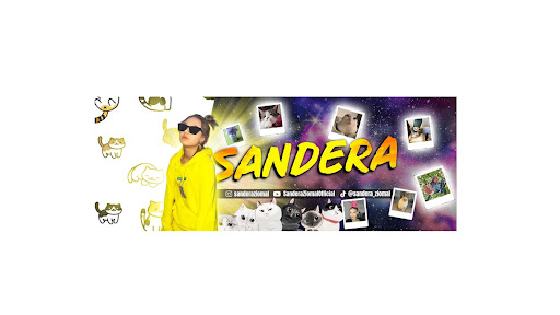 Sandera Chill banner