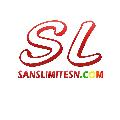 Sans limites TV avatar
