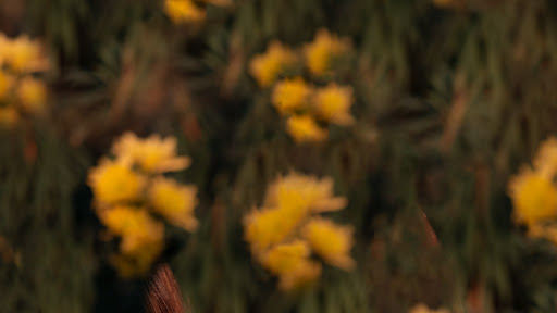 Sara De Villa banner