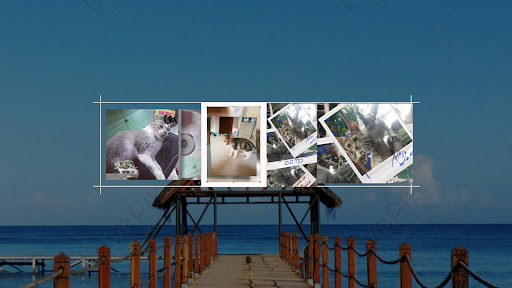 SATRIA COLLECTION banner