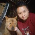 Scar Huang Dog Diary avatar
