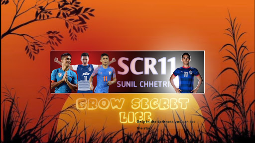 SCRNO.11 banner