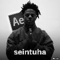 Seintuha avatar