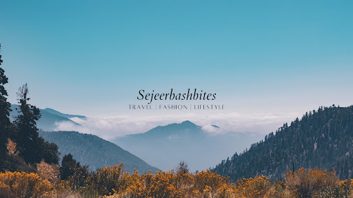 sejeer_bashbites banner