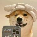 Semi Ngsuy avatar