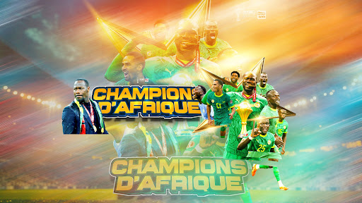 Seneweb TV banner