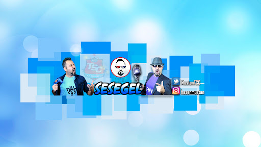 SeseGel banner