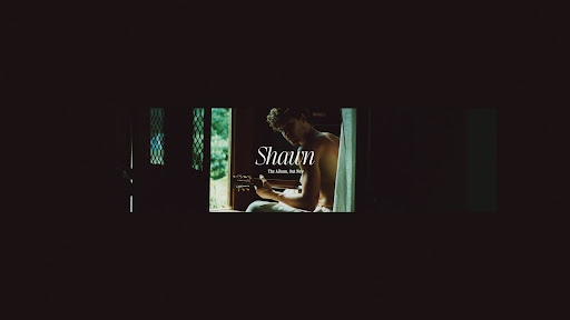 Shawn Mendes banner