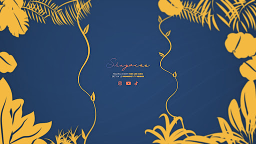 Shayvise banner