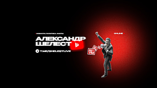Александр ШЕЛЕСТ banner