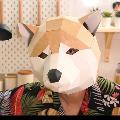 ชิบะคุก Shorts avatar