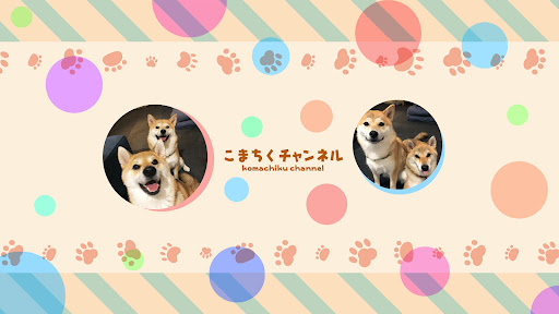 こまちく家族チャンネル〜こんぶ和え〜shibainu komachiku family banner