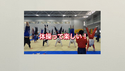 【現役体操選手】シダックス shidaks banner