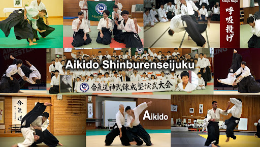 Aikido Shinburenseijuku - 合気道神武錬成塾 banner