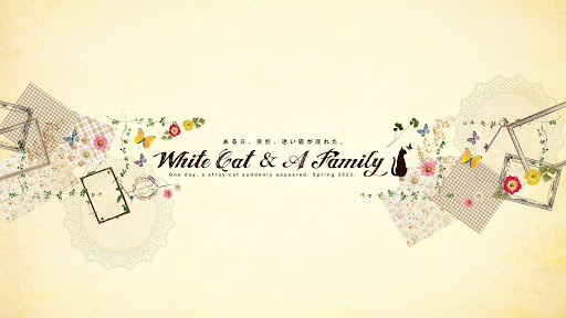 ある家族と、白い迷い猫。 banner
