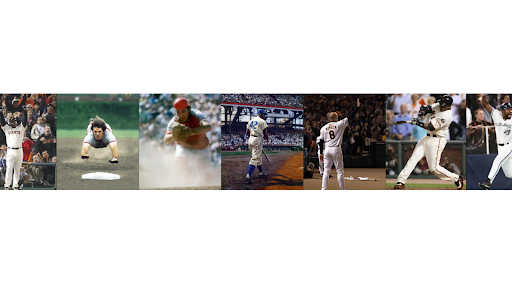  Shortstop banner