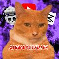 SigmaCatEditz avatar