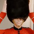 SJH.Movie22 avatar