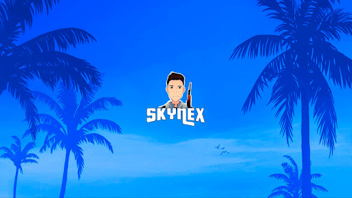 Skynex banner