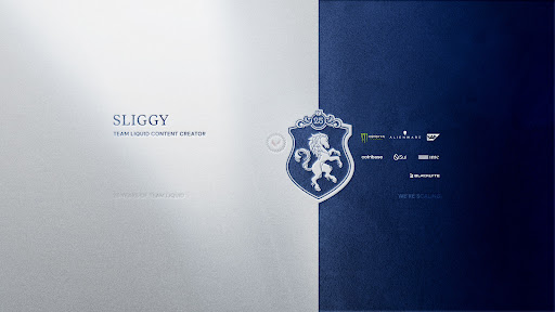 Sliggy banner