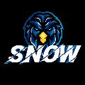 SNOW gaming avatar