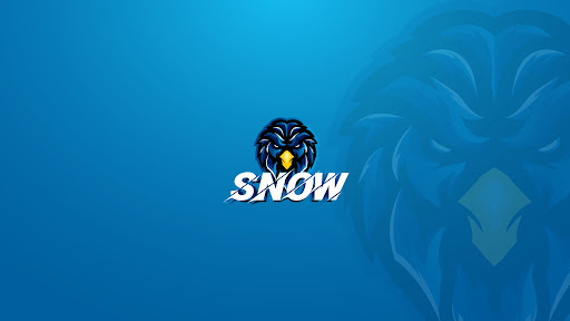 SNOW gaming banner