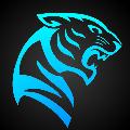 Solheim Gaming avatar