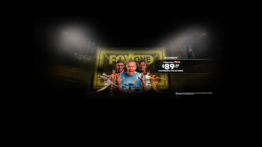 Somos Fox banner