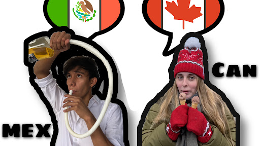 Sonrixs banner