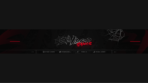SPIDER GAMER banner