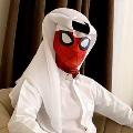 سبايدر ميمز spider memes avatar