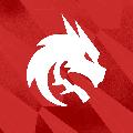 Team Spirit avatar